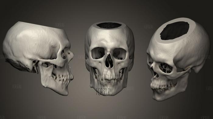 Skull Male 49yo stl model for CNC